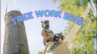 Tree Work 2022 Compilation