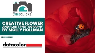 Creative Flower and Plant Photography with Molly Hollman