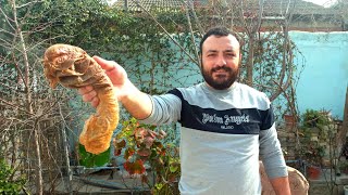 видео: Самый лучший рецепт приготовление ТРАДИЦЫОННЫЙ Турецкий ШИРДАН картинка: Самый лучший рецепт приготовление ТРАДИЦЫОННЫЙ Турецкий ШИРДАН