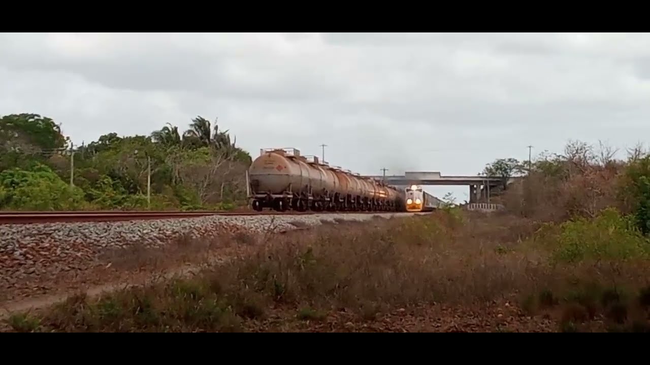 TREM DE PASSAGEIROS DA ESTRADA DE FERRO CARAJÁS, LOCOMOTIVA COM PINTURA NOVA #viralvideo #ferrovia 