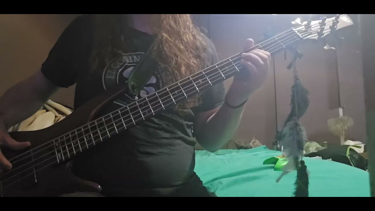 Swing Life Away - Rise Against bass cover