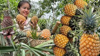 Go harvest fragrant ripe pineapples and sell them at the market to get money to buy mats