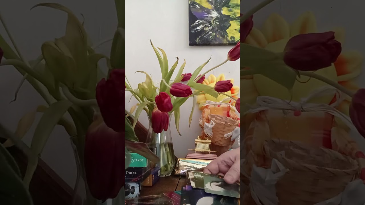 PERSOANELE DIN TRECUT SE INTORC.🫣🤫🤔🤫