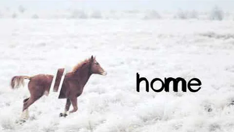 Edward Sharpe - Home - Cover by Steffe and Jeremy