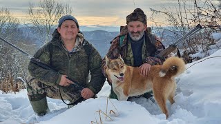 Промысел Соболя На Алтае - Будни Промыслового Охотника/Медведь Громит Избы, Рассказ Очевидца #1