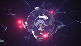 CARBIN - Voices