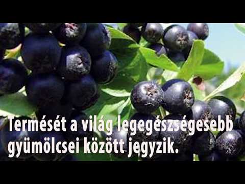 Videó: Miért jó az aronia?