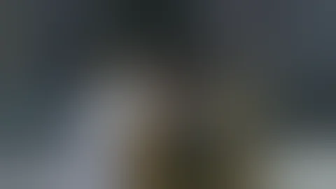 Bell vs Lucic Nov 15, 2007