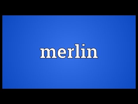 Video: Merlin. Over De Langverwachte Eerste Ontmoeting - Alternatieve Mening