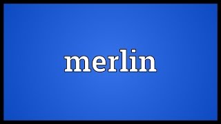 Merlin Meaning