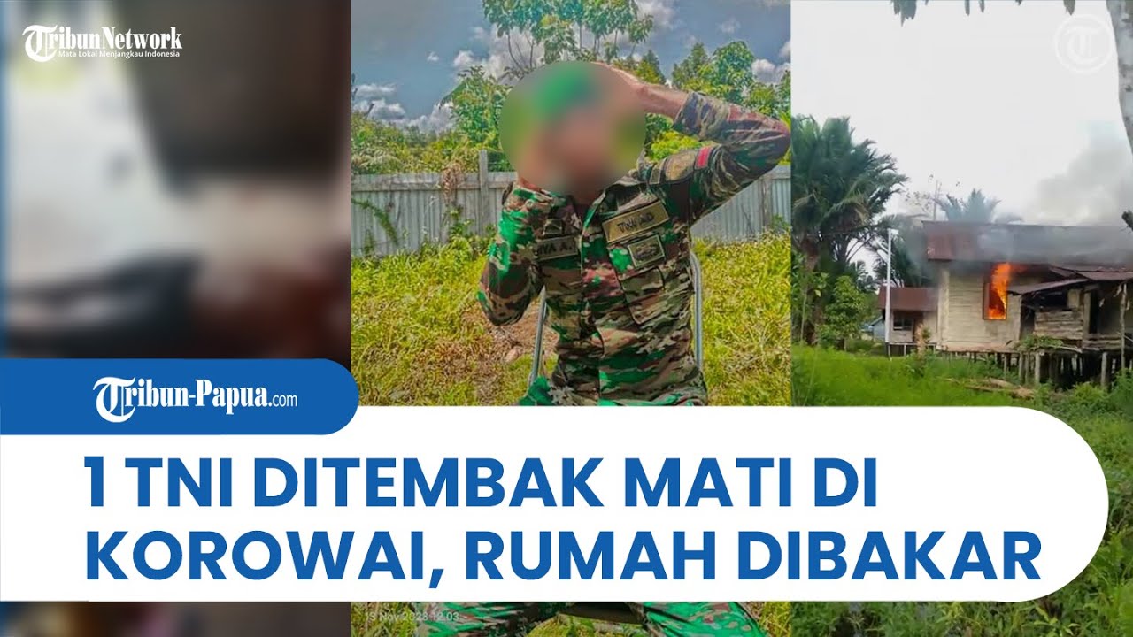 TPNPB-OPM Kodap XVI Yahukimo Tembak Mati 1 TNI di Korowai, 1 Rumah Dibakar