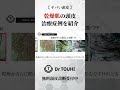 【ヤバい頭皮】症例紹介:乾燥している頭皮