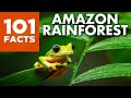101 Facts about the Amazon Rainforest