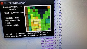 FarmerSiggy SDL2 on linux