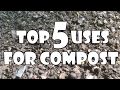 Top 5 Uses for Compost 💩