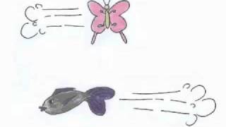 Raindrops - Regina Spektor with Rain Mood