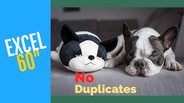 Excel: No More Duplicates! Get a Unique Data List