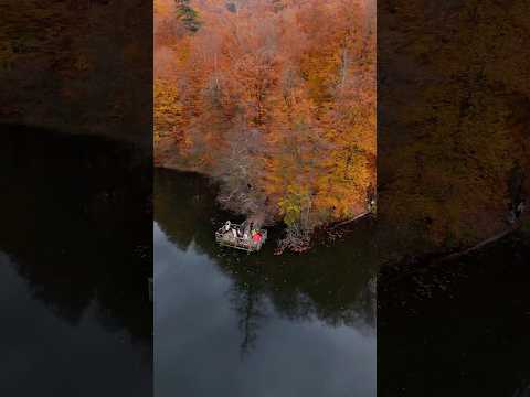 Bolu, Yedigöller: Sonbaharın