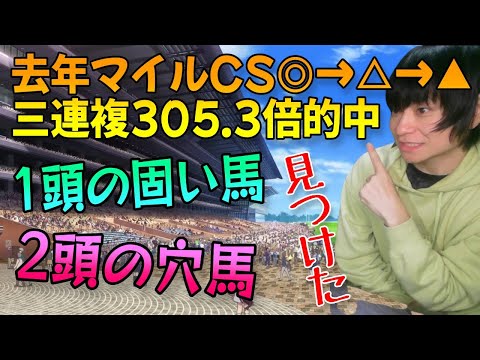 【マイルCS】過去データ傾向＆有力馬を徹底分析した結果を発表する【マイルチャンピオンシップ2023年/競馬予想】