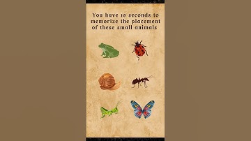 Memory Test Challenge 🤯😍 Intuition test #intuitiontest #testyourskills #braingames