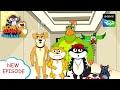   honey bunny jholmaal cartoons for kids hindi    sony yay