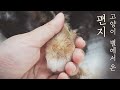 SUB) 작고 소중한 내 고양이의 장례식 My cat's funeral