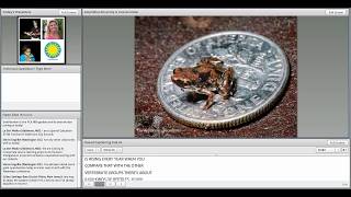 In the Face of Extinction: Thinking about the Biodiversity and Conservation of Frogs