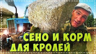 Андрюха в Хлам / Закупили НА Зиму Кроликам Сена и Корма в Дом Дяде Юре | Перезалив