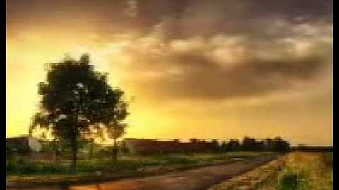 سورة المطففين -الشيخ محمد البراك.flv