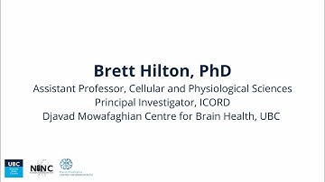 Tissue clearing and imaging axon regeneration after SCI -Tissue Clearing and Expansion Workshop 2024