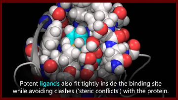 A basic introduction to drugs, drug targets, and molecular interactions.