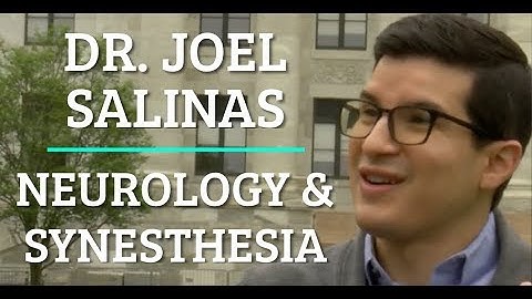 Simulation #89 Dr. Joel Salinas - Neurology & Synesthesia