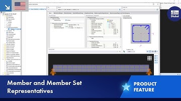 [EN] Member and Member Set Representatives