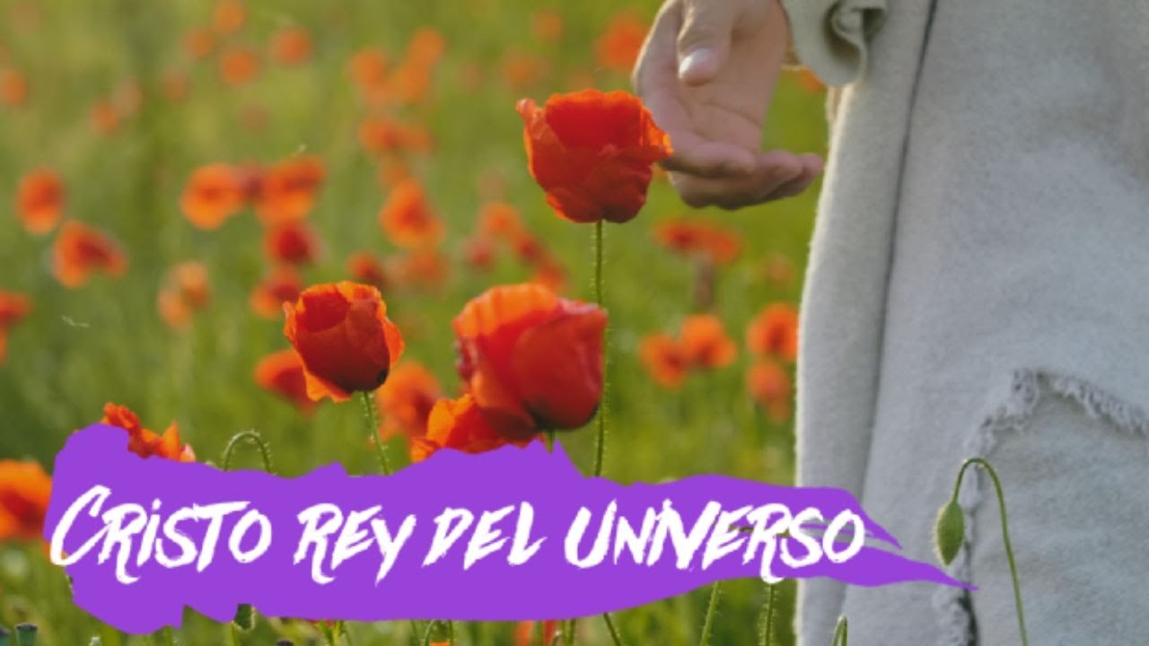 Cristo, Rey del Universo - Himno - Alabanza - Adoración - YouTube