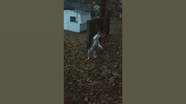 20161226 170516