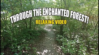 A Walk Through The Enchanted Forest and Relaxing Music- Relaxing Video