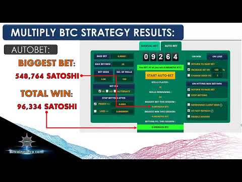 Freebitcoin Auto Bet Hi Lo 100 Winning Rate Strategy