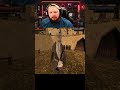 What Was That? (AD) #verho #gaming #soulslike #indiegames #newgames