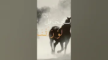 سلو التاريخ كم مجد سطرنا حالات واتس اكسبلور مقاطع 