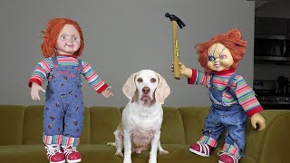 Good Chucky vs Bad Chucky w/Funny Dog Maymo