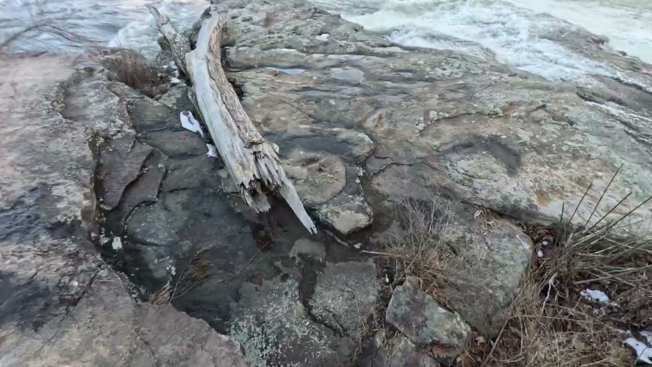 Ohiopyle 26 Feb 2026 Main Falls 2