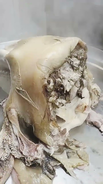 Cow Whole Head Cooking Process Siri Paye