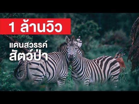 สารคดี สำรวจโลก แดนสวรรค์สัตว์ป่า - สวรรค์บนโลกมีอยู่จริง... ที่ศรีลังกา