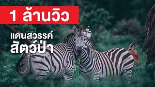 สารคดี สำรวจโลก แดนสวรรค์สัตว์ป่า - สวรรค์บนโลกมีอยู่จริง... ที่ศรีลังกา