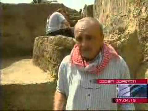 პროექტი-ქართული ვაზისა და ღვინის კულტურის კვლევა