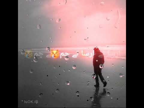 اهنگ بلوچی شاه جان داوودی دلبر تئی شهرا چه من دور روا بلوچی ساز Balochisong بلوچی موزیک