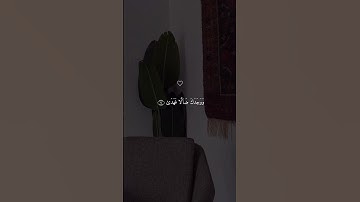 سورة الضحى 💙#حالات #حالات_دينية #حالات_واتس #حالات_واتساب #قرآن