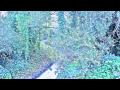 Lil B - "See You Cry" LEAK FROM THE SECRETE ALBUM "PAINT" PRODUCED BY THE BASEDGOD