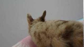 P8310030