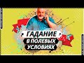 🧙‍♂️ БЕСЕДЫ О ТАРО| Гадание в полевых условиях🤹‍♀️